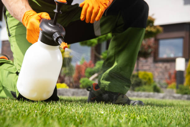 Best Pest Control Near Me in Eldorado, IL