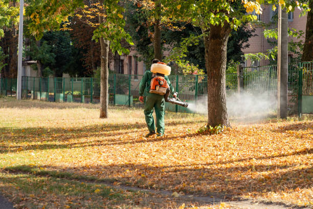 Best Wasp Removal Services  in Eldorado, IL